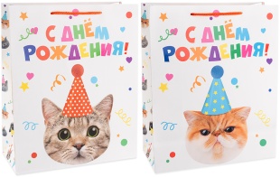 Пакет подарочный, 210гр, Котик в колпачке, Лаковый, 41*31*12 см, 1 шт.