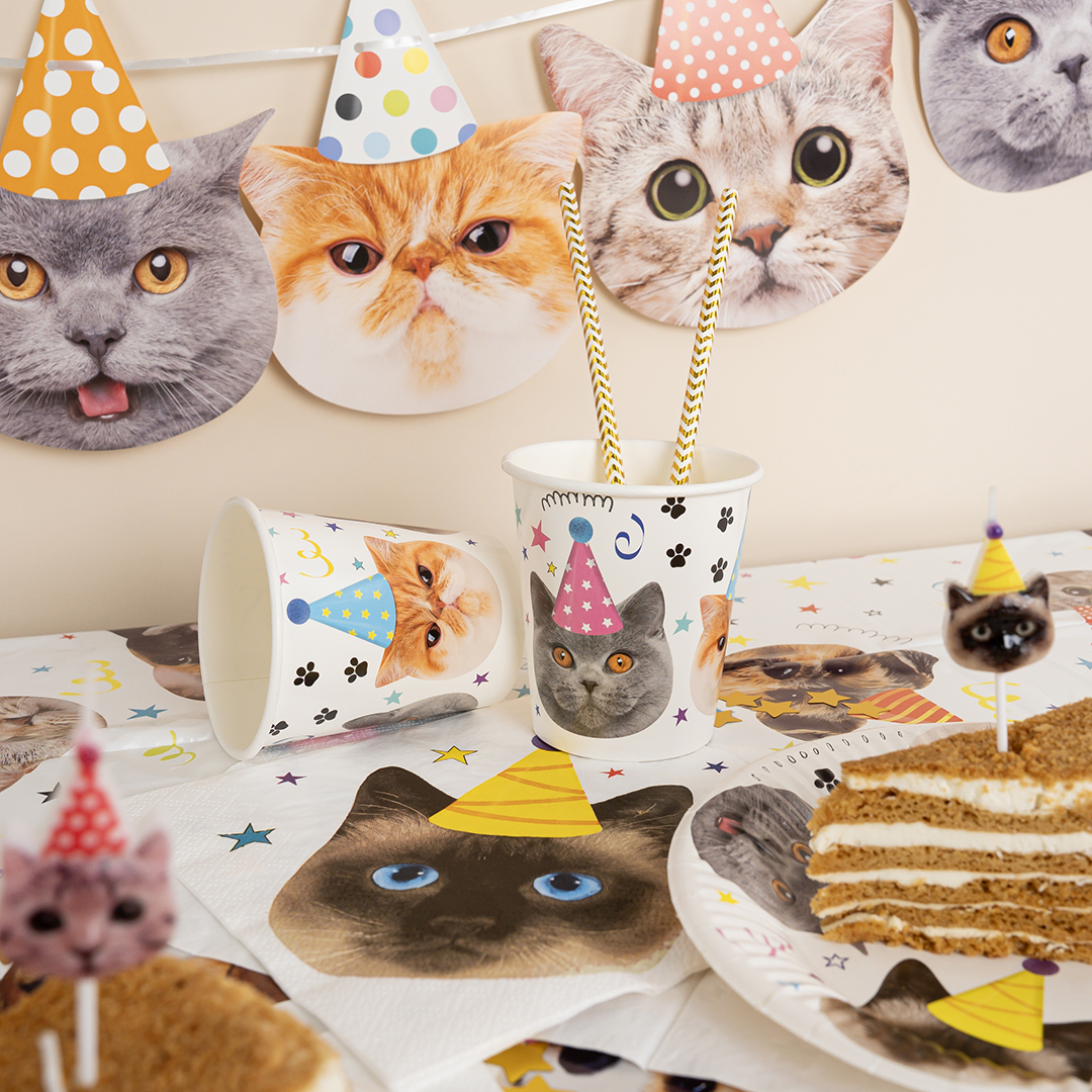 Стаканы (250 мл) Котики, 6 шт.